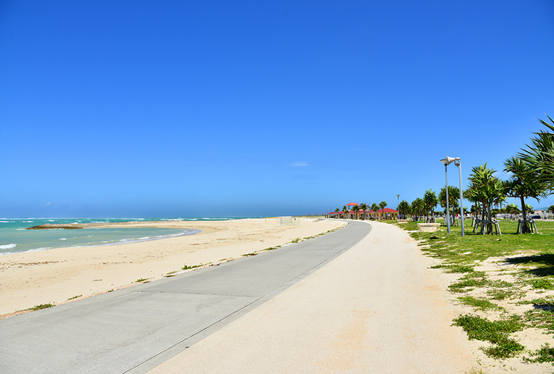 ビーチドッジ大会概要のイメージ